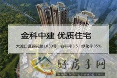 金科中建博翠长江