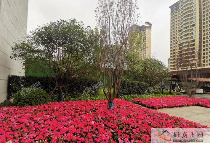 5月重庆新房怎么挑选?这些楼盘值得了解!            </h1>(图1)