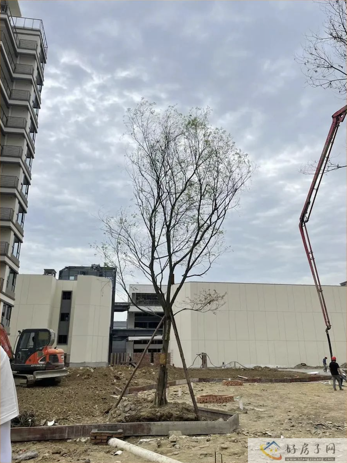 截屏2023-06-25 23.41.56.png