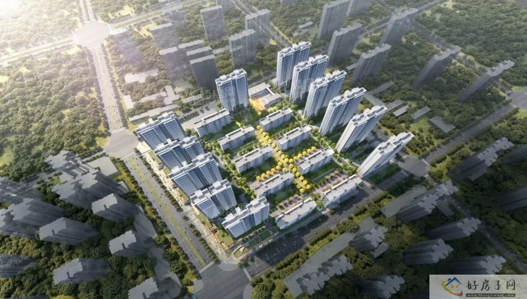 官宣!交大附中附小落定!这个区域再迎利好 </h1>(图2)