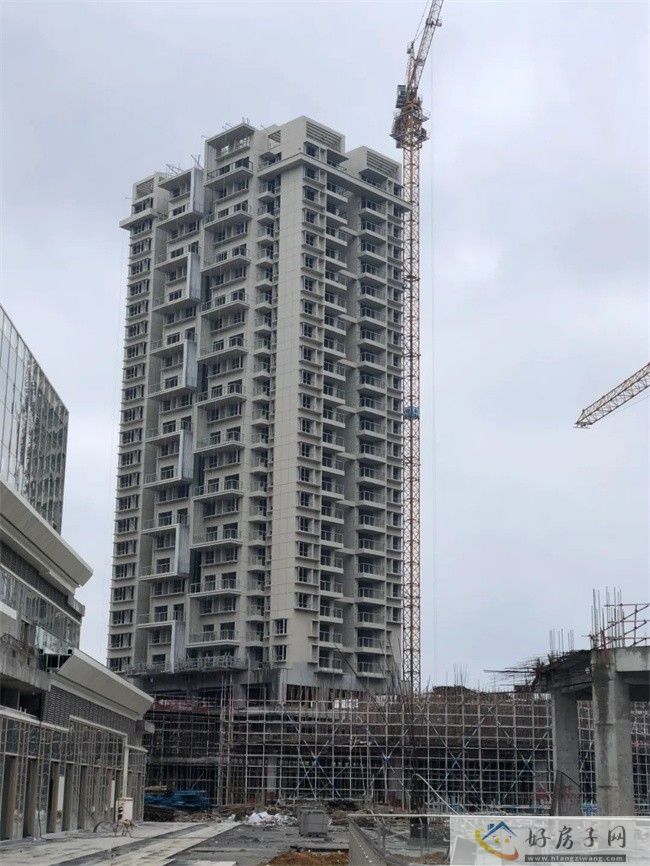 12月工程进度播报丨冬寒岁末 守望温暖归期            </h1>(图3)