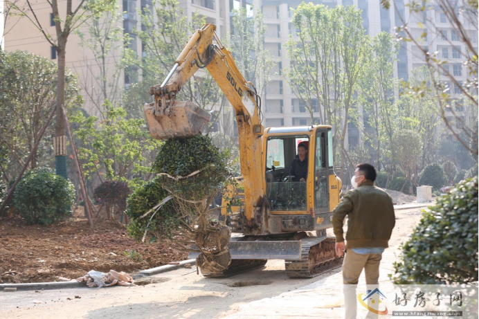 直击乐湾工地，施工场面火热，部分楼栋有望年底完成建设            </h1>
                            <h2 class=subtitle>
                    直击乐湾工地，施工场面火热                </h2>(图9)
