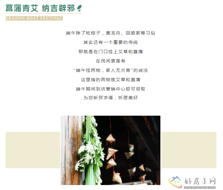 融汇湖城一品 | 端午放“粽”指南            </h1>(图6)