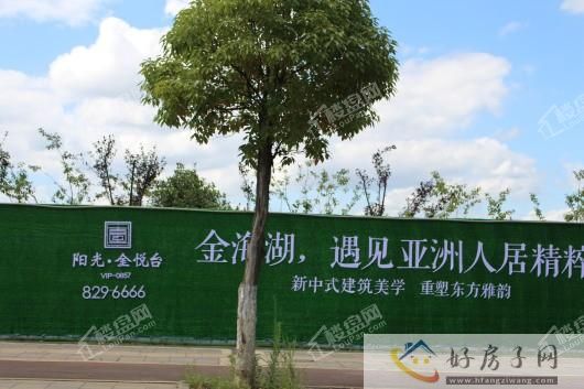 家书 | 阳光金悦台5月工程播报            </h1>(图4)