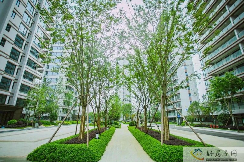 建源西江月迎来盛大交付 实景赏析 理想湖居照进现实！            </h1>(图5)