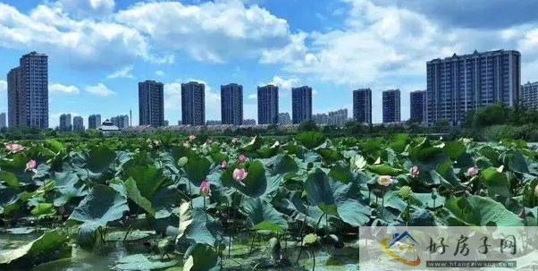 揭秘！上海湖畔天下怎么样？好不好？            </h1>(图1)