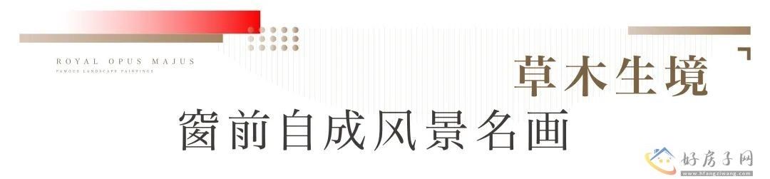 金山新华御著好不好？触动心灵的视野，纵览广阔天地！            </h1>(图2)