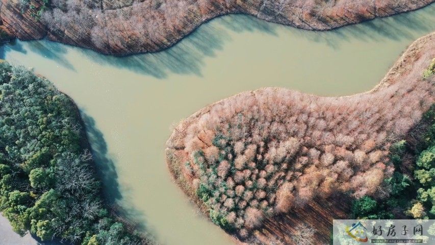 上海奉发云邸周边配套怎么样？生活方便吗？            </h1>(图2)