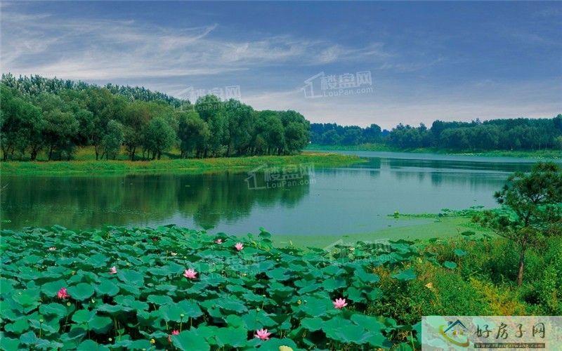 北京珠江天樾书院品质怎么样?“书院系”首作,改善优选!            </h1>(图5)