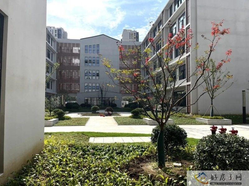 常州教科院附属高级中学新校区实景曝光 将于9月投用！            </h1>(图5)