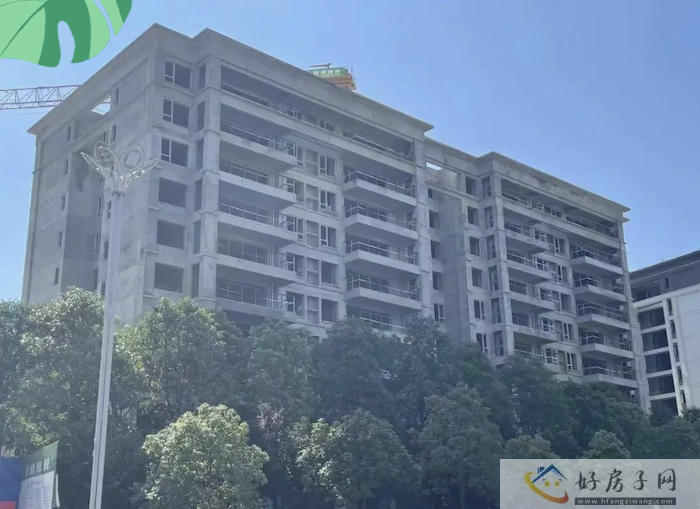 截屏2023-08-12 15.40.44.png