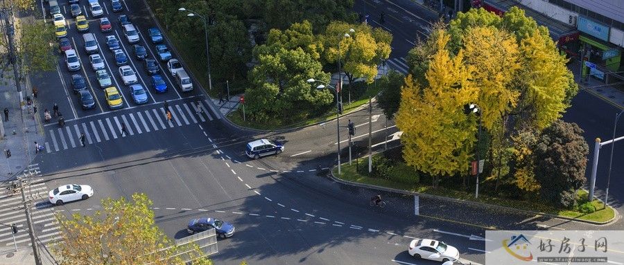 金山新华御著生活方便吗？周边配套全面分析！            </h1>(图2)