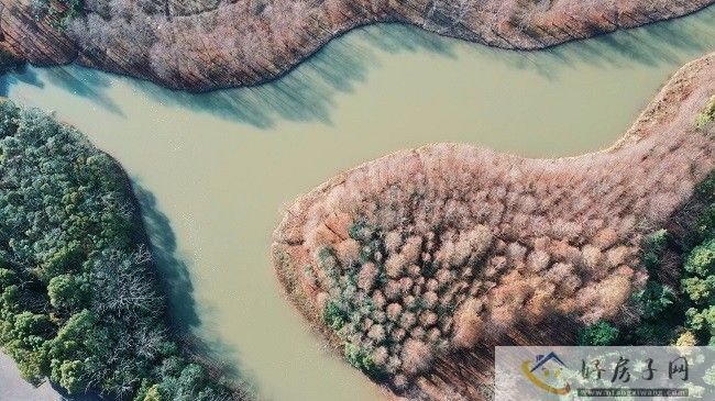 成都龙泉驿区邦泰宽语，打造的高端生态住宅！            </h1>(图1)