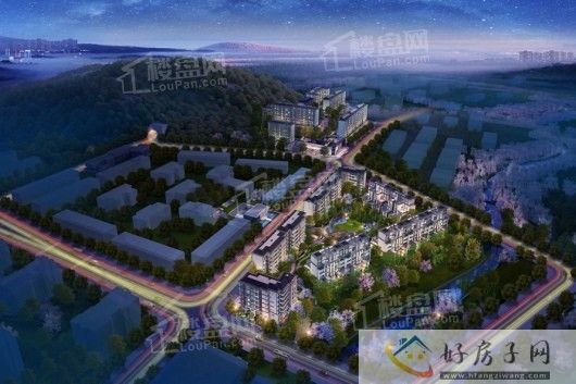 重庆保利天珺怎么样?可以买吗?户型、配套分析            </h1>(图5)