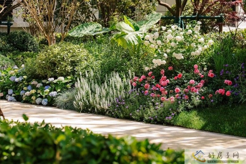 上海金地新乐里有哪些亮点？来看看业主怎么说……            </h1>(图8)